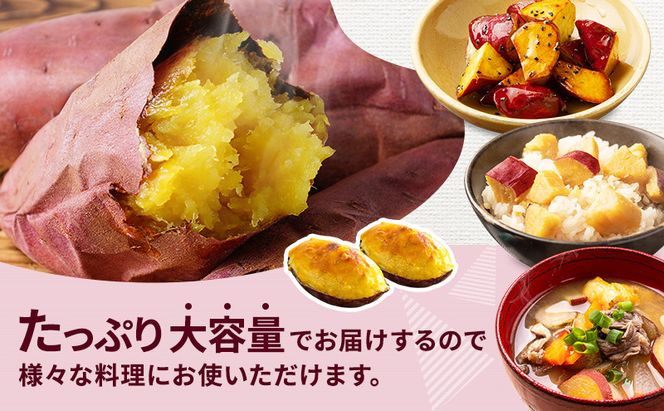 さつまいも 約10kg 紅はるか 加工用 大きいサイズ サツマイモ 宮城県産 甘い 秋 冬 スイーツ いも 産地直送 宮城県 大河原町