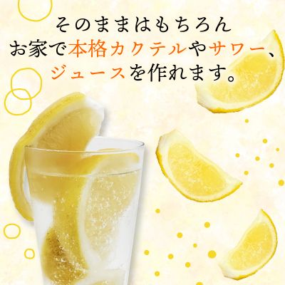 冷凍 河内晩柑  皮付き 500g×4袋 小分け 愛南ゴールド 和製グレープフルーツ おやつ 柑橘 かんきつ 冷凍 冷凍柑橘 冷凍みかん 夏 アイス サワー カクテル スムージー シャーベット みかん職人武田屋 愛媛県 愛南町