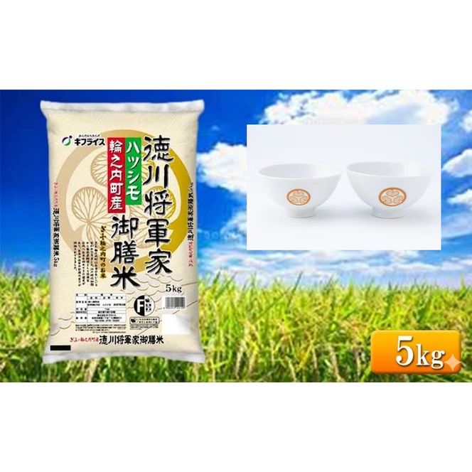 7年産 岐阜県産 ハツシモ （徳川将軍家御膳米） 5kg + 夫婦茶碗  米 コメ 精米 白米 大粒 おいしい ごはん おにぎり お弁当 岐阜県 輪之内町