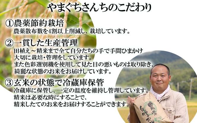 令和7年度産 北海道米 おぼろづき 白米 10kg (5kg×2) 北海道 新ひだか町