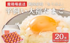 産地直送 大福たまご 20個