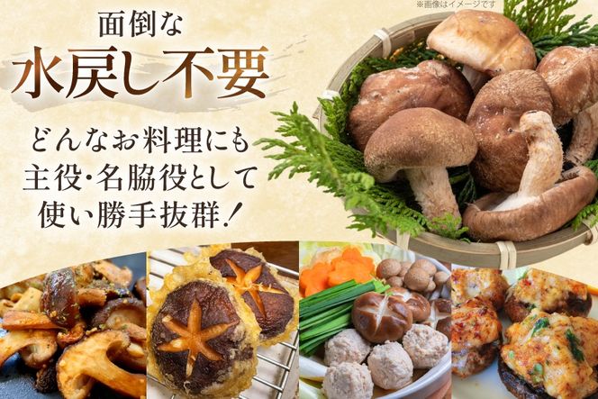 生しいたけ セット 約300g× 2袋 約150g× 2袋 計4袋 約900g [杉本きのこ園 宮崎県 美郷町 31bs0001] 菌床 椎茸 しいたけ シイタケ きのこ キノコ お鍋 天ぷら 炒め物 おかず