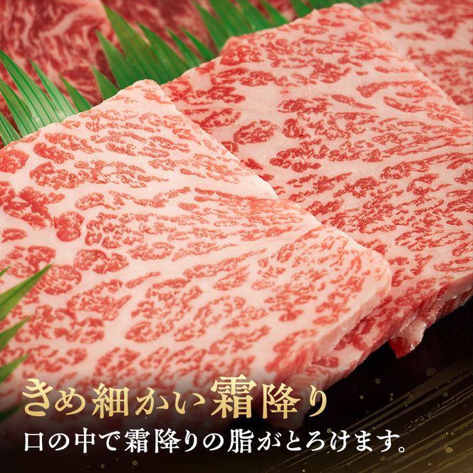 BBQ　特選ペア盛