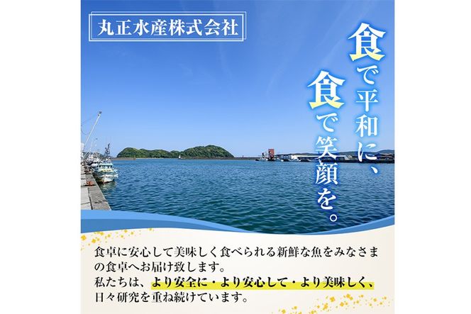 お刺身用 サーモン切り落とし (計1kg) 鮭 小分け 真空 パック 冷凍 刺身 シャケ サケ 魚 魚介 漬け丼 海鮮丼 【丸正水産】【AW-116】