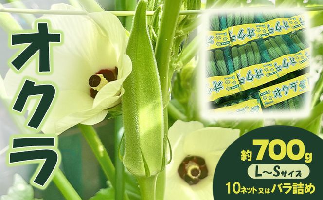 オクラ 約700g 野菜