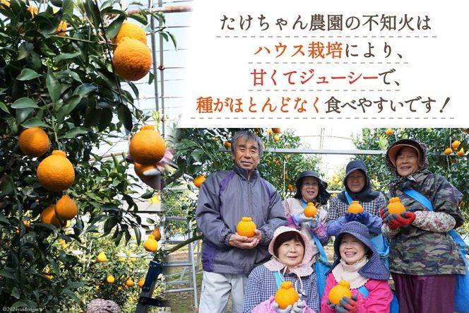 【期間限定発送】じゅわーっと甘い 不知火 約3kg（ハウス栽培・化粧箱入り） [たけちゃん農園 宮崎県 日向市 452060822] 果物 フルーツ 柑橘類