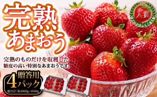 完熟あまおう 贈答用 約250g～410g×4パック 合計約1kg～1.64kg 【2025年1月上旬～3月上旬順次出荷予定】いちご 苺 イチゴ ベリー 果物 フルーツ お取り寄せ デザート おやつ