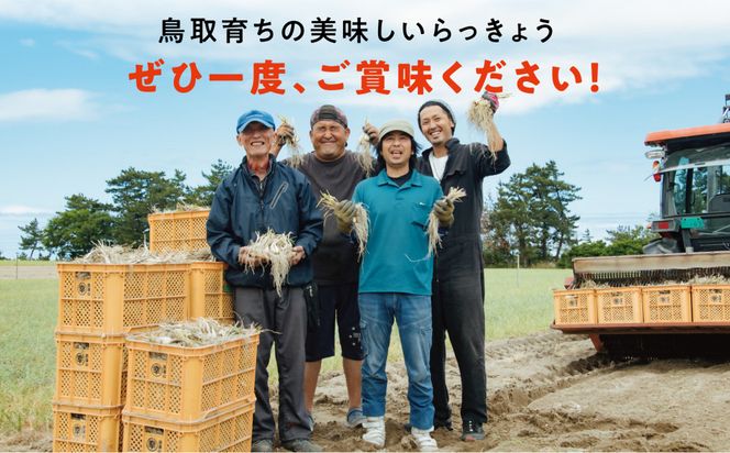 橋本さんちの根付き生らっきょう 6kg 312011_BL005