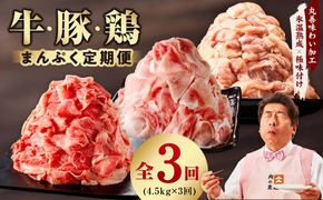 mrzZ020 国産 牛肉＆豚肉＆鶏肉 まんぷく 定期便 5kg×3回【氷温熟成×極味付け 3種 食べ比べ 普段使い 味付き 小分け 訳あり サイズ不揃い】