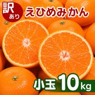 【先行予約】訳あり 愛媛みかん 小玉 10kg 傷み補償 500g 増量 【発送期間 2026年11月上旬～】 みかん 愛媛みかん 温州みかん 南柑20号 柑橘 蜜柑 かんきつ 冬 秋 旬 正月 愛媛 愛媛県 愛南町 お歳暮 プレゼント くだもの 果物 フルーツ スイーツ おやつ お菓子 和菓子 甘い 糖度 オレンジ 冷凍 みかん ジュース 清家ばんかんビレッジ