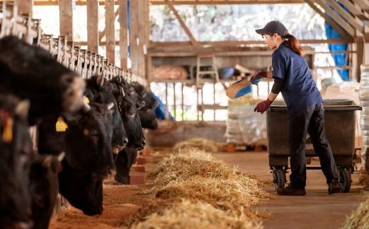 【自社農場和牛】富永和牛手作りハンバーグ（黒毛和牛 ハンバーグ 牛肉 牛肉100% 国産 冷凍 調理済 宮崎 惣菜 小林市）