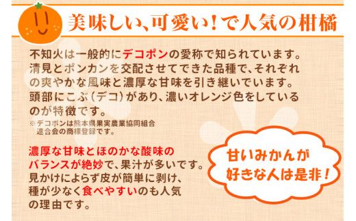 先行予約 訳あり 不知火 10kg  清家ばんかんビレッジ みかん 蜜柑 デコポン 清見 きよみ ポンカン 柑橘 果物 フルーツ 柑橘 糖度 ビタミン 健康 美容 愛媛 愛南 発送:2024年2月10日～4月10日(なくなり次第終了)