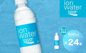 イオンウォーター 定期便 6ヶ月 500ml 24本 大塚製薬 ポカリスエット ポカリ スポーツドリンク イオン飲料 スポーツ トレーニング アウトドア 熱中症対策 健康 6回 