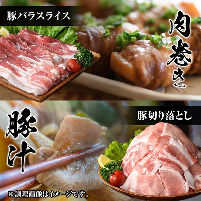 isa683 【定期便3回】小分け・真空パック！九州産豚肉3種セット(合計9.3kg・3.1kg×全3回) バラスライス ロース とんかつ 生姜焼き 真空包装 真空パック 小分け ぶたにく 豚 肉 詰合せ 詰め合わせ 食べ比べ 冷凍 【サンキョーミート株式会社】