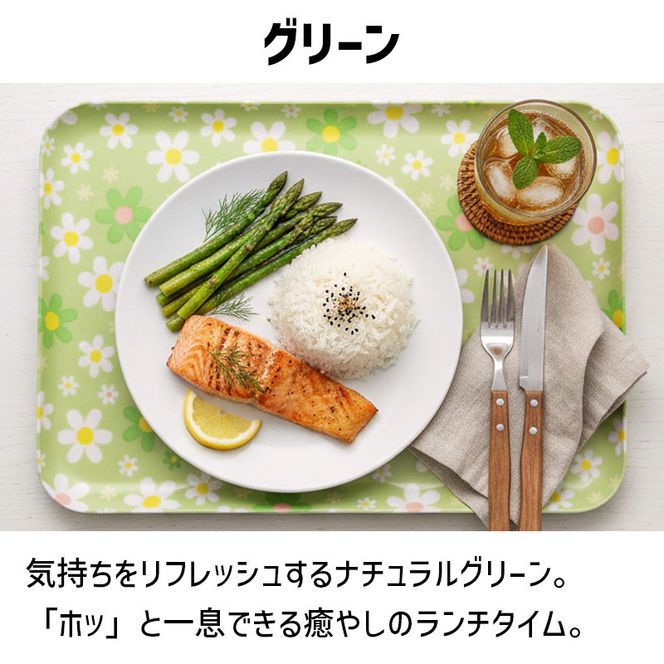 TATSU-CRAFT マグネットトレー SS 21.5cm マーチ GR グリーン すべり止め付き ［Tk1061］ 303446_DA90803VC01