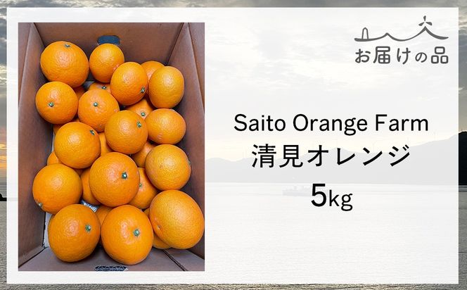 【先行予約】Saito Orange Farmの訳あり清見オレンジ5kg（2026年3月中旬頃より順次発送） IKTAQ009