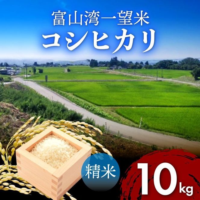 【先行予約】新米 富山湾一望米　コシヒカリ 精米 【容量10kg】【2025年10月より順次発送】