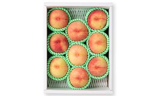 FYN6-073 ≪2026年先行予約≫ ご家庭用 山形県産 品種おまかせ 白桃 約3kg（6～11玉） 2026年8月中旬から順次発送 柔らかくなる桃 はくとう 桃 もも モモ 果物 くだもの 夏果実 フルーツ 訳あり 農業者支援 家庭用 自宅用 産地直送 山形県 西川町 月山