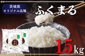 AL012　令和5年産米！際立つ粒の大きさ！ふくまる  １５ｋｇ