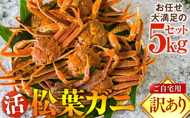 662.ご自宅用　活訳あり松葉ガニ　お任せ大満足の5kgセット【着日指定不可】※2026年11月上旬～2027年3月下旬頃に順次発送予定 313726_AL030