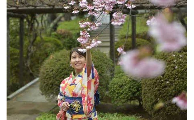 着物レンタル着付け　きもの選べるプラン 322032_FP001