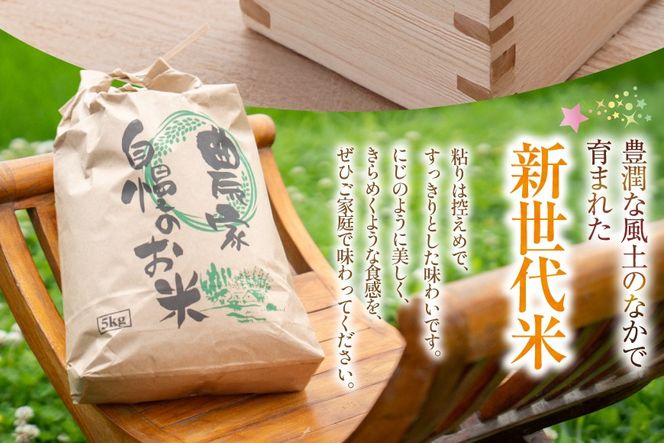 米 令和8年 先行予約 にじのきらめき 5kg お米 こめ 白米 kome 8年産 5キロ 精米 山梨県 送料無料 ライス ブランド米 コメ 人気 [駒井農園 山梨県 韮崎市 20745371] 