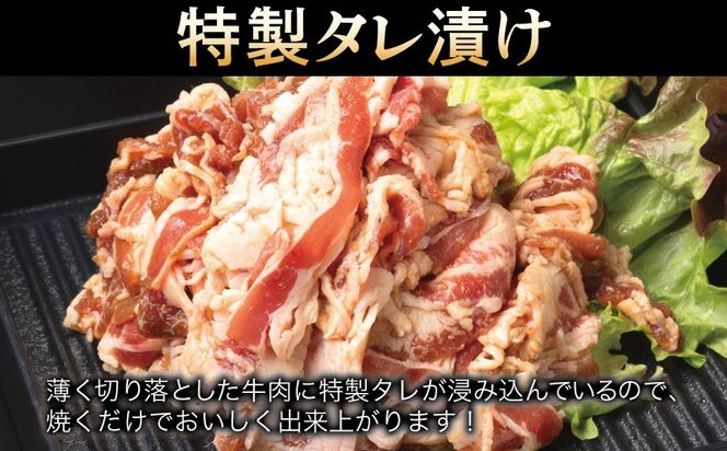 G3354 牛肉 切り落とし タレ漬け+塩麹漬け 合計1kg（250g×各2袋） 【味付け 小分け 焼くだけ 簡単調理 BBQ 牛肉 250g×4袋】