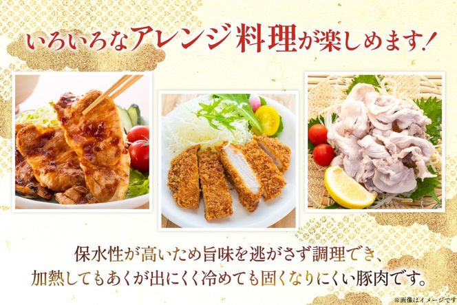 豚肉 宮崎県産豚肉 3.2kg 詰め合わせ セット [TRINITY 宮崎県 日向市 452061328] 小分け 豚 肉 宮崎 ロース スライス 豚バラ とんかつ 切り落とし ミンチ 豚ミンチ ひき肉 真空パック