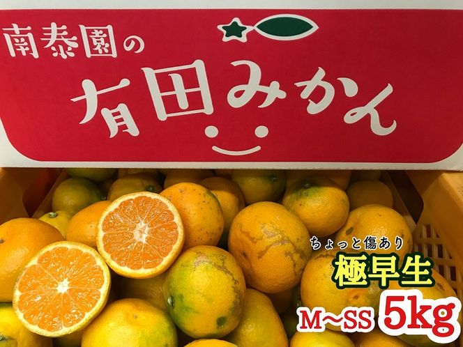 定期便 先行受付 2025年 10月発送スタート 有田みかん 食べくらべ 3種 ちょっと傷あり 5kg × 3回 コース 南泰園 BS816