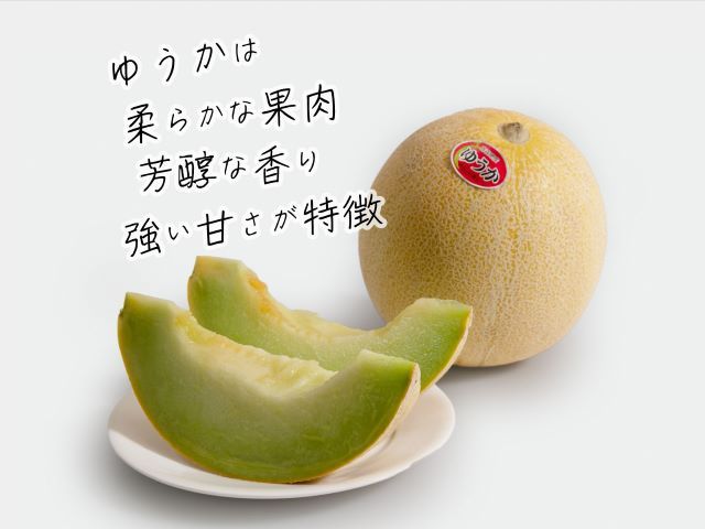 【先行予約2026年産】長谷川さんが作ったメロン2個（品種おまかせ） 7月～8月発送　青森県鰺ヶ沢町産 2玉 果物類 フルーツ メロン赤肉 