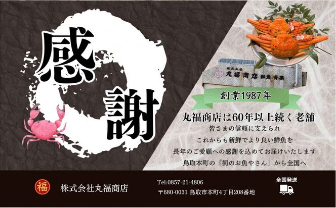 丸福商店社長厳選　鳥取港松葉ガニ 312011_FZ002