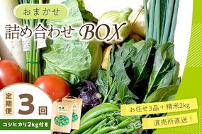 直売所直送 【訳あり】「京都・京丹後産 季節の野菜」お任せ詰め合わせBOX（3品）＋コシヒカリ精米2kg 定期便3回　JA00077