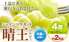【2026年先行予約】シャインマスカット 晴王 はれおう 4房(1房480g以上) 約2kg 株式会社山博《2026年8月下旬-10月下旬頃出荷》岡山県 笠岡市 晴王 ぶどう マスカット 大粒 フルーツ 秀品 旬 果物 贈り物 ギフト 送料無料【配送不可地域あり】---Y-27a---