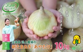 【新たまねぎ】淡路島　池上農場の「あやたけ」10kg【発送時期：2026年3月下旬～5月頃】　[新玉ねぎ]