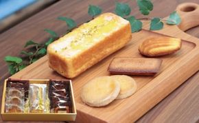 マイヤーレモンパウンドケーキ＆焼菓子詰め合わせセットB20 / マイヤーレモン 焼菓子 詰め合わせ 小分け パウンドケーキ ケーキ レモン【psf002A】