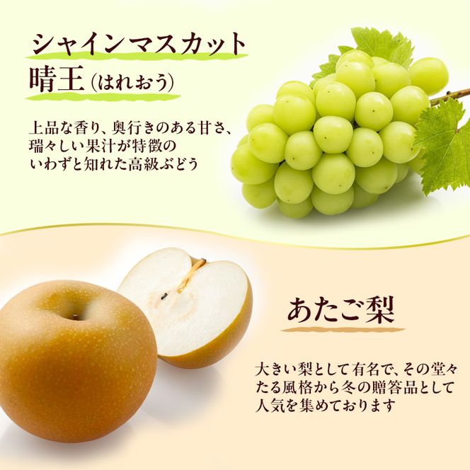 フルーツ 定期便 2026年 先行予約 フルーツ王国 岡山の果物 5回コース 夏～冬物語  桃 もも 葡萄 ぶどう 梨 なし岡山県産 国産 果物 セット ギフト シャインマスカット あたご梨 