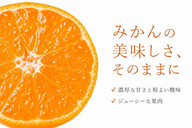 ［ご家庭用訳あり］有田みかん10kg 2S〜2Lサイズ混合［UT152］ 303446_XF91195
