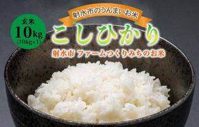 【射水市】【射水の美味しいお米】ファームつくりみちのお米 作道米 R8年度産こしひかり10kg（10kg×1）【玄米】 | 米 こめ コメ こしひかり ブランド米 銘柄米 人気 ランキング 富山 富山米 北陸 北陸米 富山コシヒカリ 北陸コシヒカリ 玄米コシヒカリ 10キロ 10キロ米 10kg 10kg米