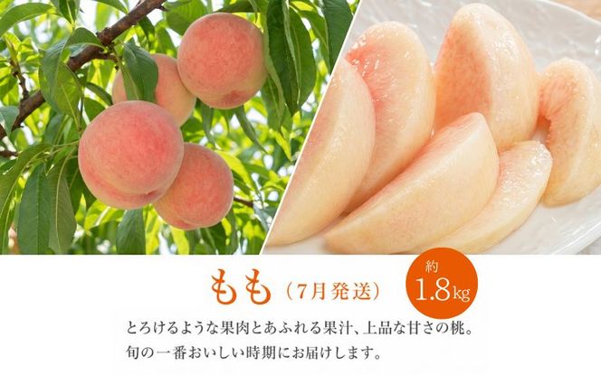 【定期便】【全3回】紀州和歌山産旬のフルーツ定期便（セミノール・スイカ・桃）【5月・6月・7月】【tkb453】