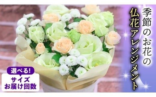 季節のお花の仏花アレンジメント 【選べるサイズと回数】ミニ S M L LL 単品 定期便 6回 12回 アレンジメント 花 お花 仏花 生花 お供え ギフト プレゼント 命日 月命日 [CT025ci00]