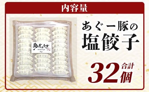 ≪餃子≫ あぐー豚 ぎょうざ 32個【 ブランド豚 アグー豚 ぎょうざ 餃子 焼き餃子 水餃子 焼餃子 沖縄県 石垣市 】GS-4