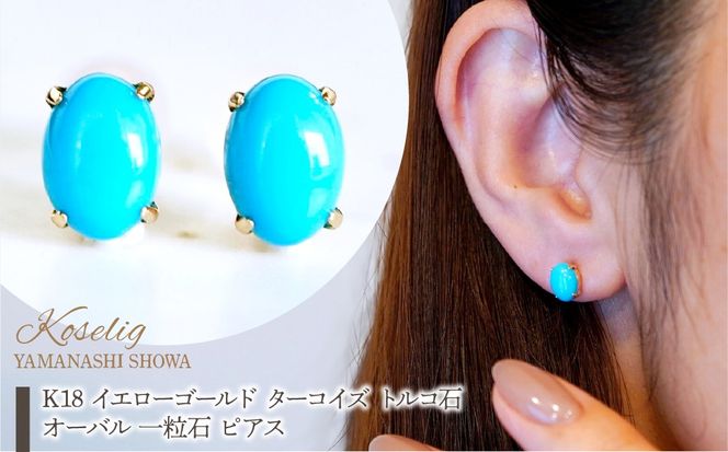 yRazK18 CG[S[h ^[RCY gR΃I[o ꗱ sAX ۏ؏t KO-0048 SWAD061