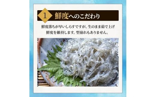 【容量が選べる】しらす 訳あり 1kg～2kg 釜揚げしらす シラス ごはん おかず チャーハン パスタ 料理 大きめ 産地直送 ランキング こだわり 鮮度 天塩 マル伊商店 愛知県 南知多町