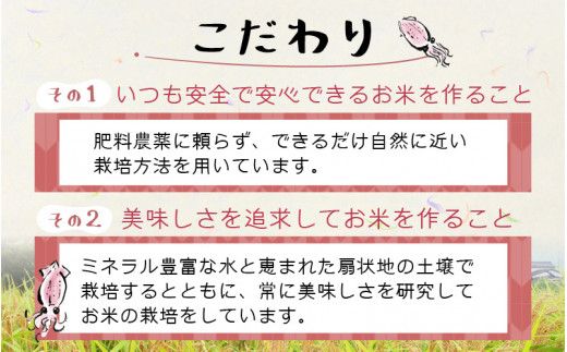 【訳あり】ほたるいか米（精米５kg）×12回 計60kg【12ヶ月定期便】