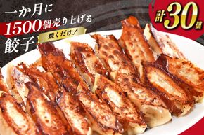 AI297 焼くだけ！一か月に1500個売り上げる 餃子 15個 2パック 計30個 [ ぎょうざ ギョウザ 冷凍ギョウザ 長崎県 島原市 ]