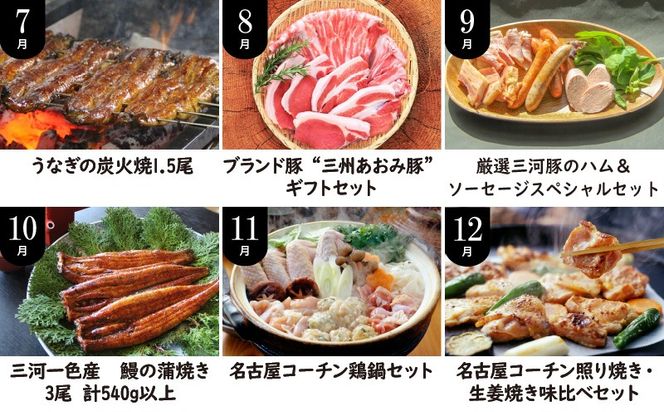 【全12回】厳選！うなぎとお肉の定期便(毎月お届け）　H028-076