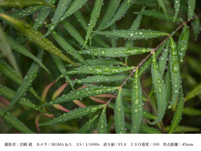 SIGMA 28-45mm F1.8 DG DN | Art【Lマウント】