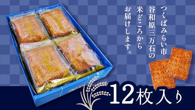大角手焼きあられ 詰合せ 12枚入り おいしい おやつ 引っ越し 御礼 お取り寄せ 慶事 弔事 長期保存 退職 あられ 煎餅 せんべい [AB05-NT]