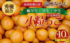 【先行予約】【秀優混合】紀州和歌山産 温州みかん「小粒っこ」約10kg（箱込み）2S～3S サイズ混合 小玉みかん（極早生・早生・中生）