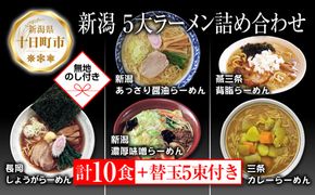 あっさり醤油 燕三条背脂 長岡しょうが 濃厚味噌 三条カレーらーめん 計10食 替え玉 乾麺 詰め合わせ 無地熨斗 しょうゆ みそ 備蓄 お取り寄せ ギフト のし 熨斗 松代そば善屋 新潟県 十日町市 麺類 コシ こだわり 